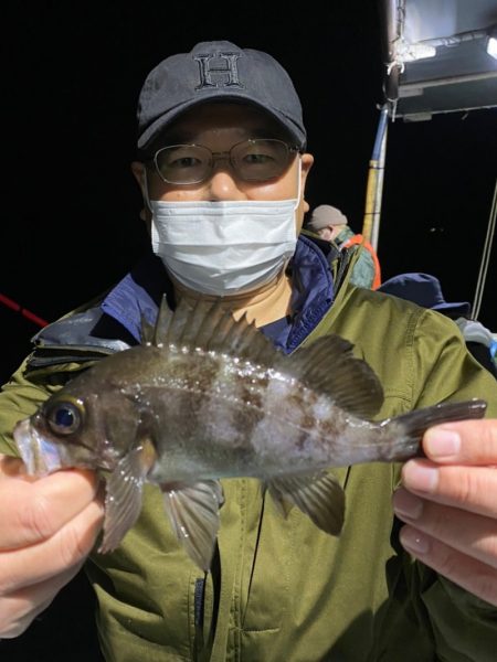 ヤザワ渡船 釣果