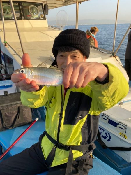 ヤザワ渡船 釣果