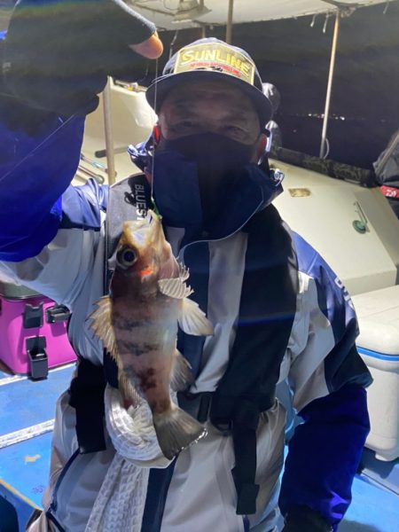 ヤザワ渡船 釣果