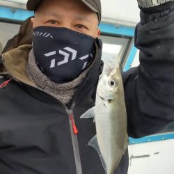 ヤザワ渡船 釣果