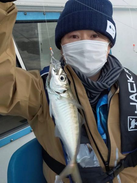 ヤザワ渡船 釣果