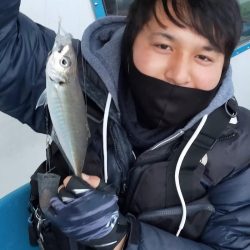 ヤザワ渡船 釣果