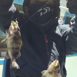 ヤザワ渡船 釣果