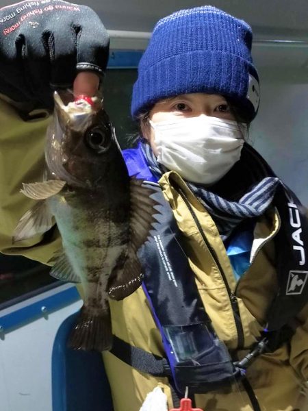 ヤザワ渡船 釣果