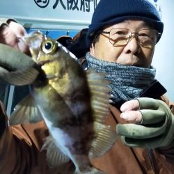 ヤザワ渡船 釣果