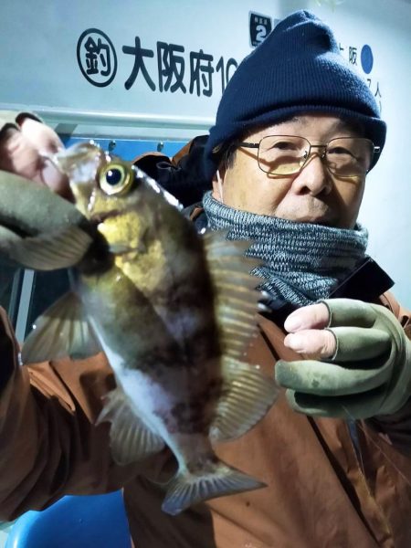 ヤザワ渡船 釣果