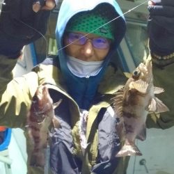 ヤザワ渡船 釣果