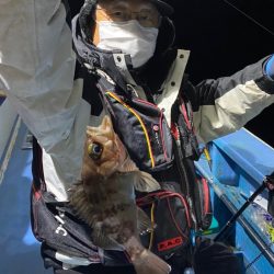 ヤザワ渡船 釣果