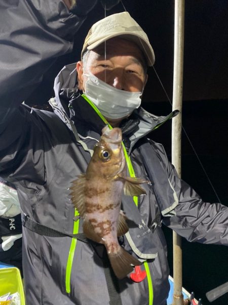 ヤザワ渡船 釣果