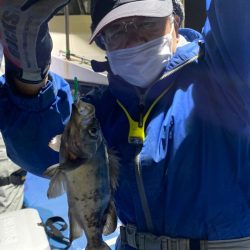 ヤザワ渡船 釣果