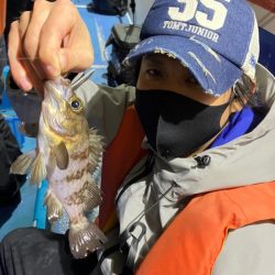 ヤザワ渡船 釣果