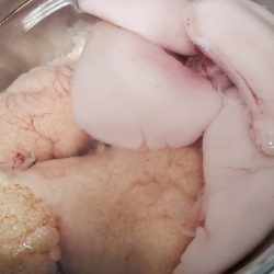 龍神丸（鹿児島） 釣果