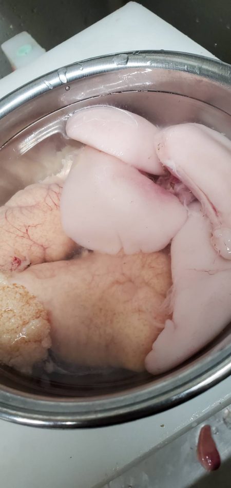 龍神丸（鹿児島） 釣果