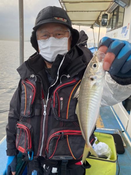 ヤザワ渡船 釣果