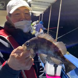 ヤザワ渡船 釣果