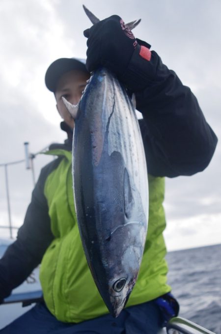 渡船屋たにぐち 釣果