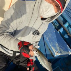 ヤザワ渡船 釣果