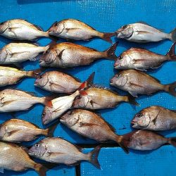 フィッシングガイド りょう 釣果