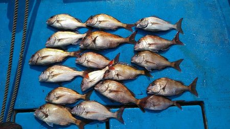 フィッシングガイド りょう 釣果