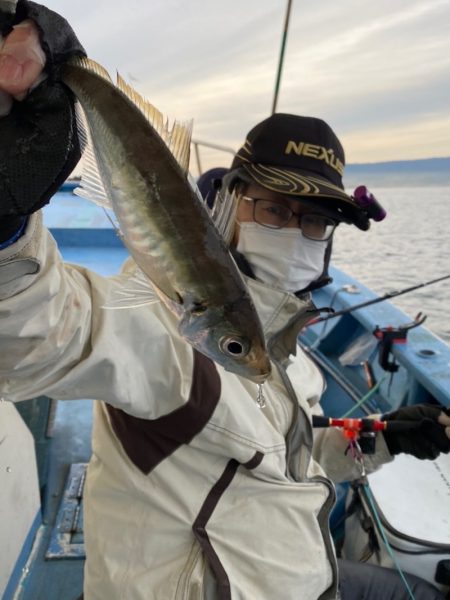 ヤザワ渡船 釣果