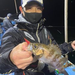 ヤザワ渡船 釣果