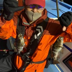 ヤザワ渡船 釣果