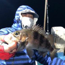 ヤザワ渡船 釣果