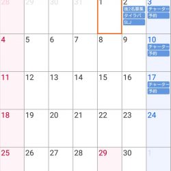 遊漁船 家入 釣果