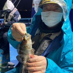 ヤザワ渡船 釣果