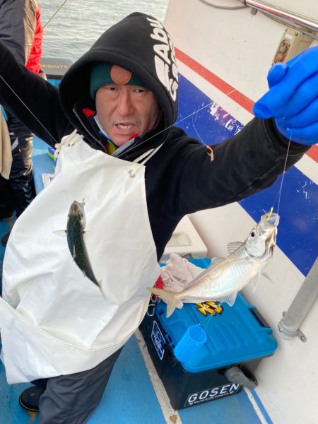 ヤザワ渡船 釣果