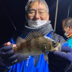 ヤザワ渡船 釣果