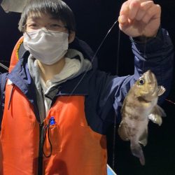 ヤザワ渡船 釣果