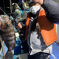 ヤザワ渡船 釣果