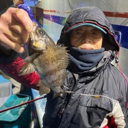 ヤザワ渡船 釣果