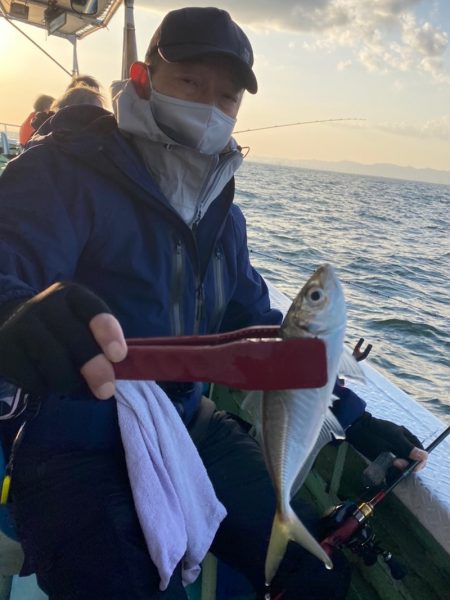 ヤザワ渡船 釣果