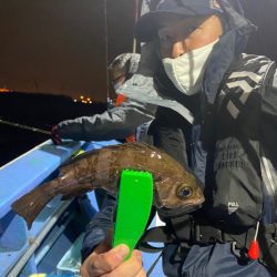 ヤザワ渡船 釣果