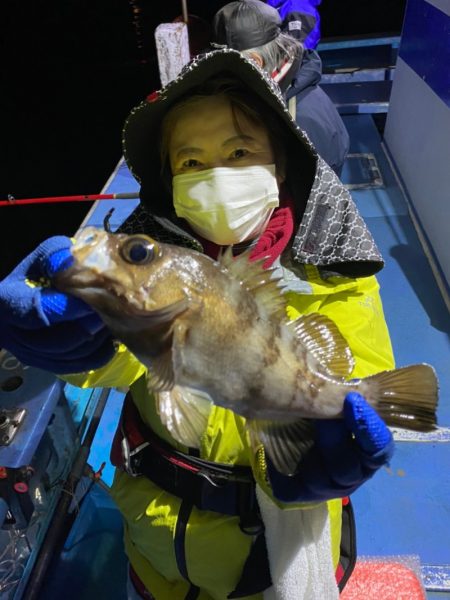 ヤザワ渡船 釣果