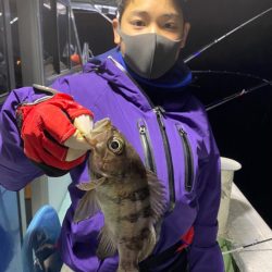 ヤザワ渡船 釣果