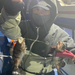 ヤザワ渡船 釣果