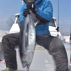 渡船屋たにぐち 釣果