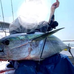 渡船屋たにぐち 釣果
