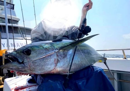 渡船屋たにぐち 釣果