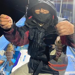 ヤザワ渡船 釣果