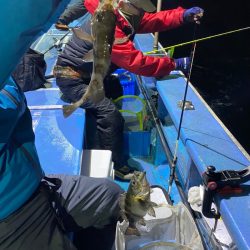 ヤザワ渡船 釣果