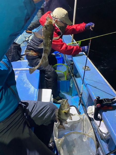 ヤザワ渡船 釣果