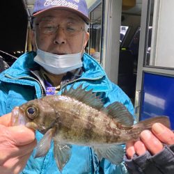 ヤザワ渡船 釣果