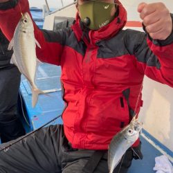 ヤザワ渡船 釣果