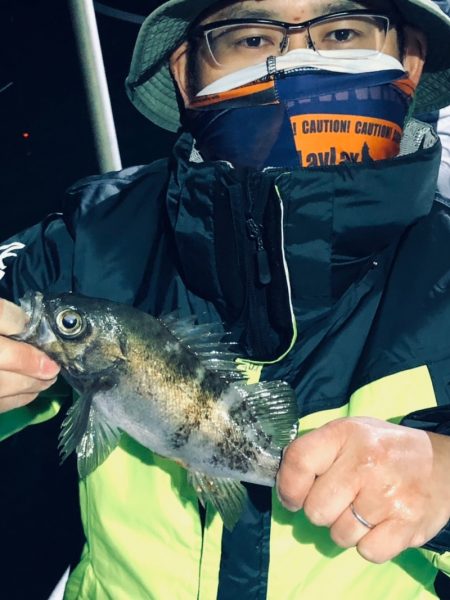 ヤザワ渡船 釣果