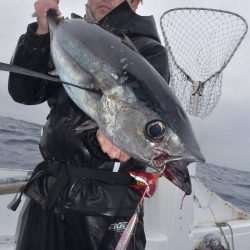 渡船屋たにぐち 釣果