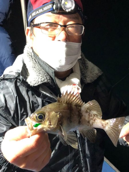 ヤザワ渡船 釣果